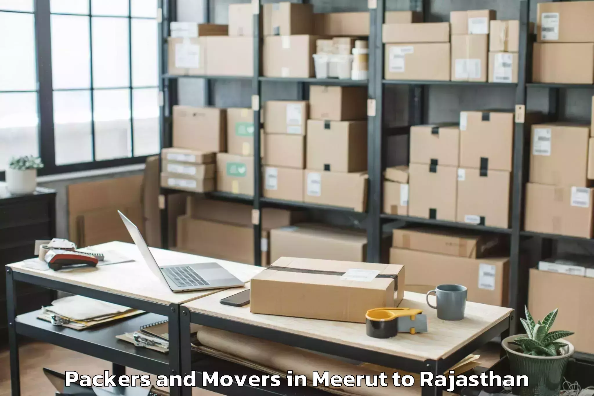 Professional Meerut to Opjs University Churu Packers And Movers